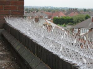 photogallery_birdproofing_1